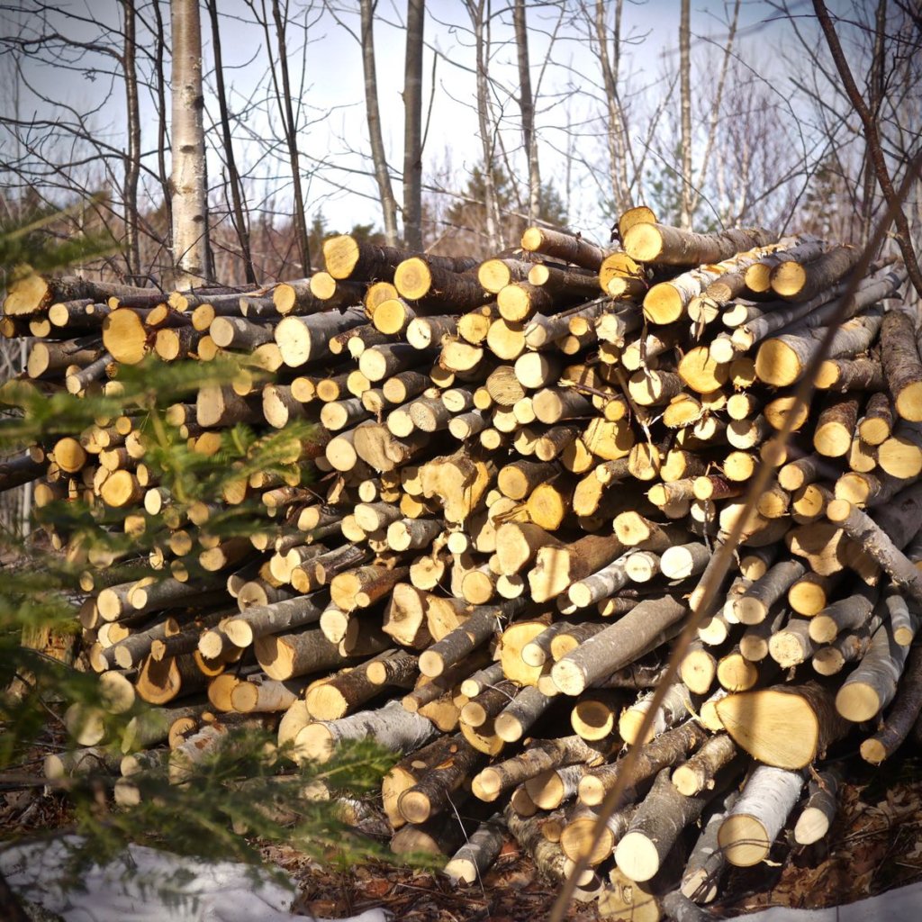 An's firewood is really piling up